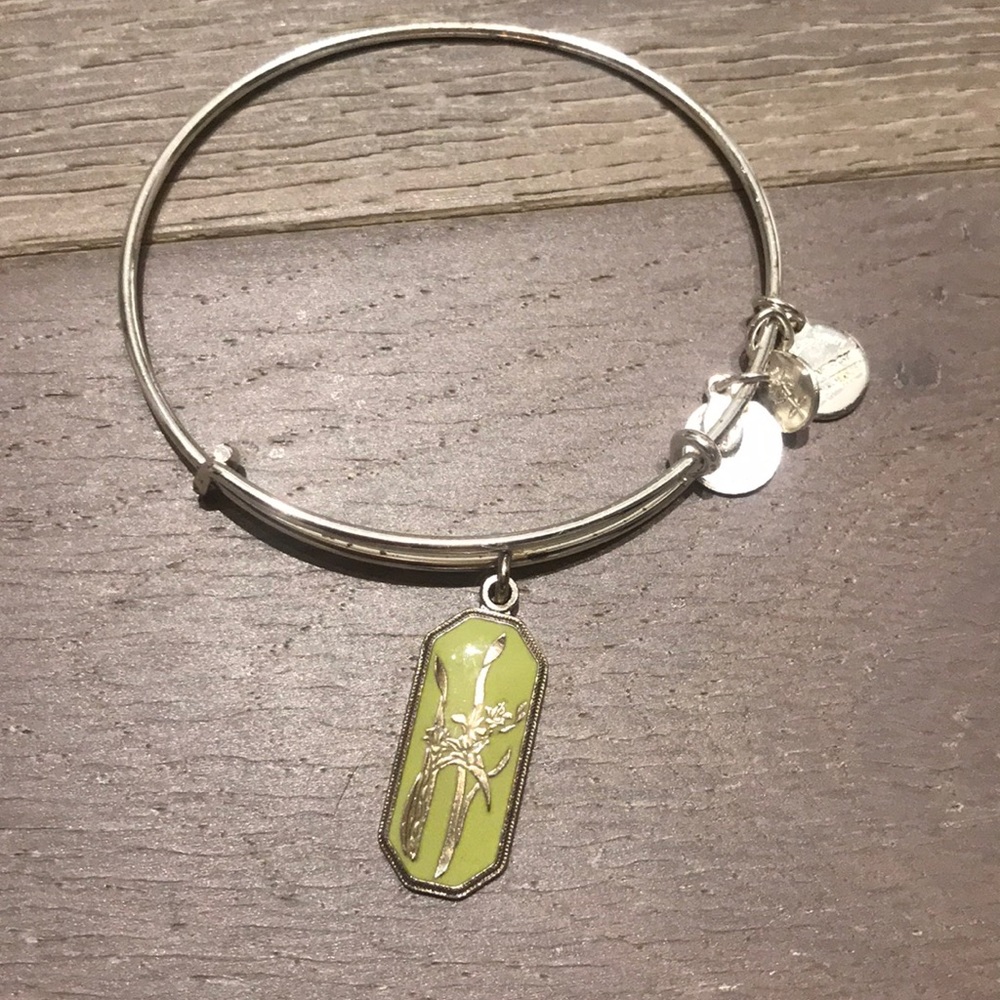 NWOT Silver Bangle - 🌸 🌺 🌹 charm